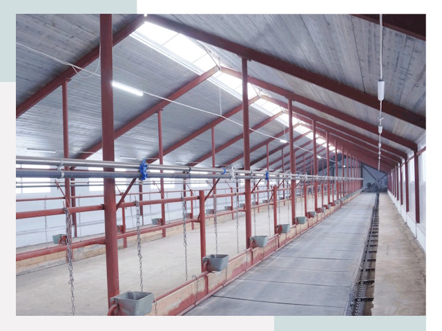 Строительство коровников в Усинске от 614 руб.