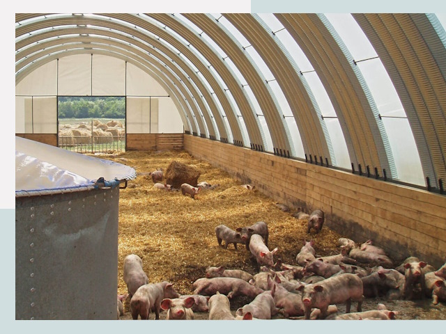 Строительство свинарников в Усинске