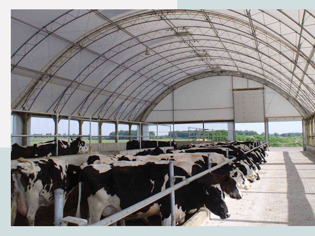 Тентовые коровники в Усинске